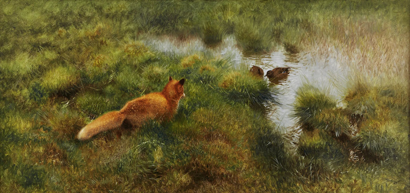 A fox stalks ducks along a stream. - Bruno Liljefors
