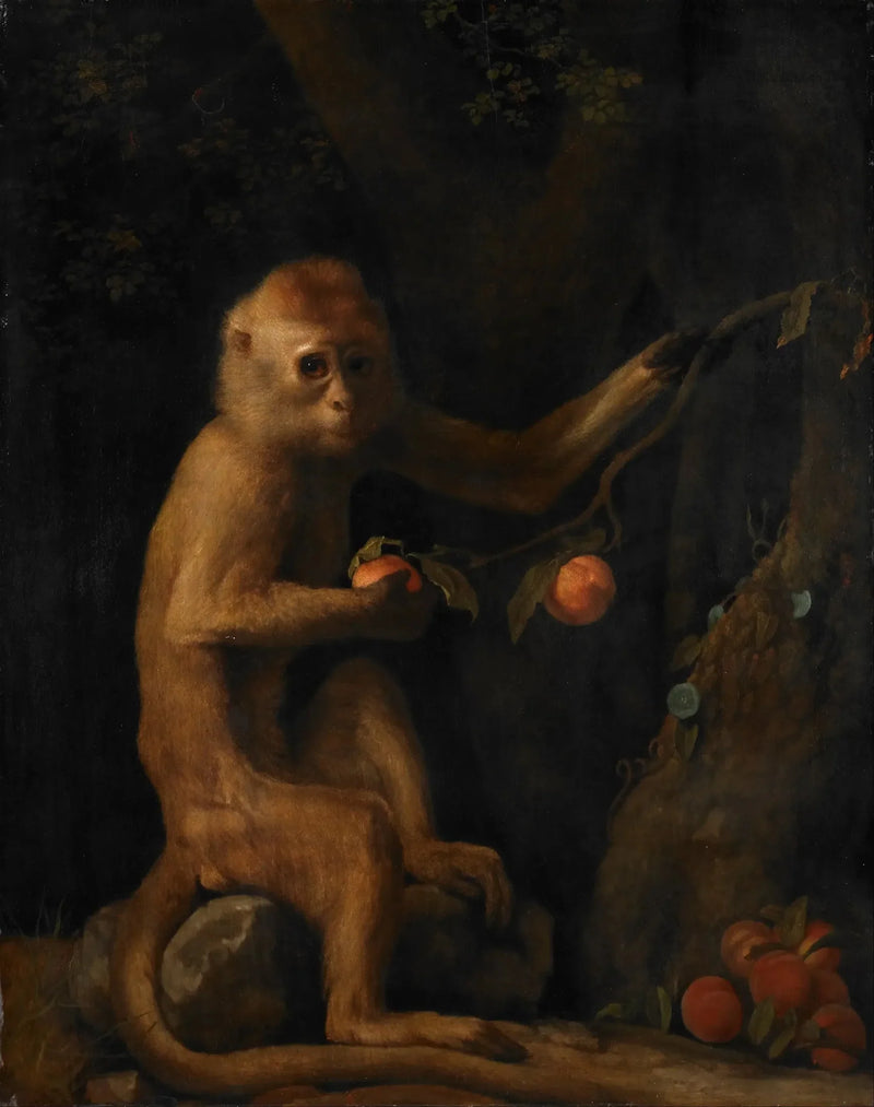 A Monkey - George Stubbs
