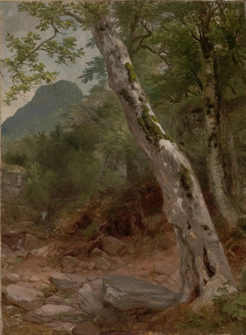 A sycamore, Plaaterkill Clove - Asher Brown Durand
