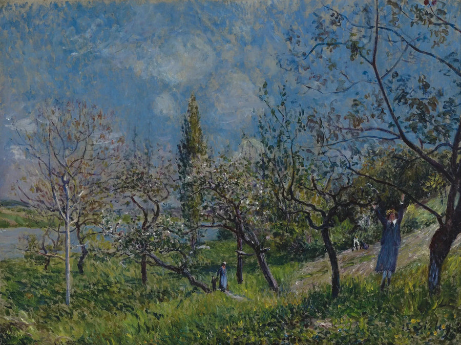An Orchard in Spring, By - Alfred Sisley