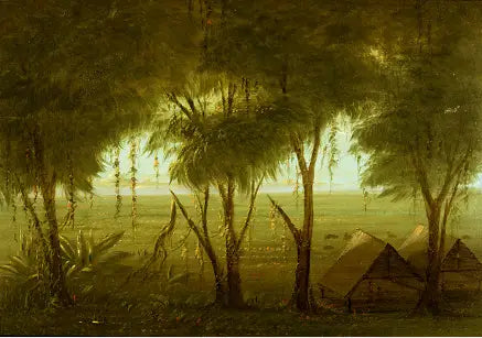 A Village of Connibo - George Catlin