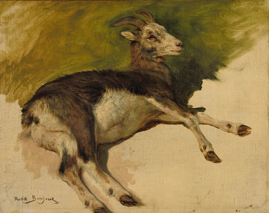 A goat - Rosa Bonheur