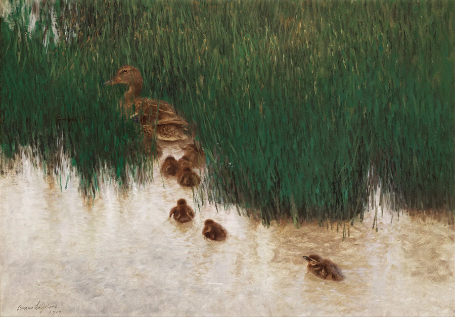 A family of ducks among the reeds - Bruno Liljefors