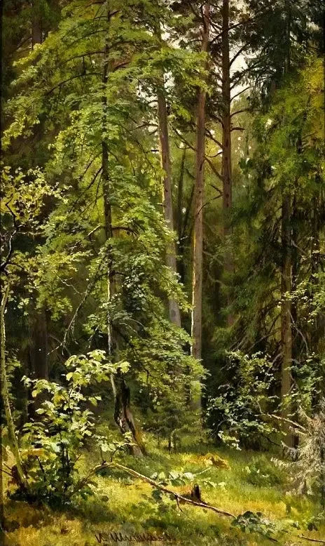 A Forest - Ivan Chichkine