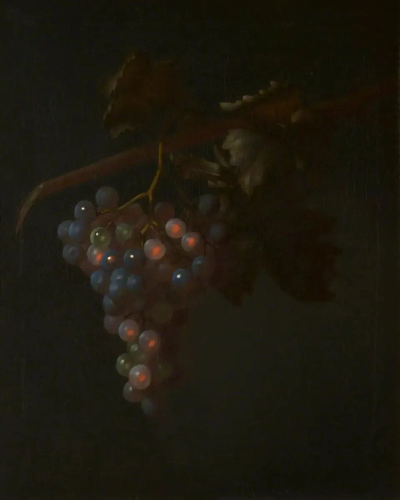 A bunch of grapes - Tobias Stranover