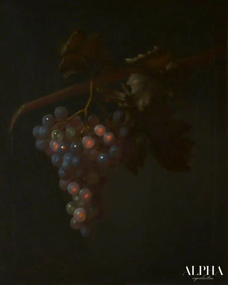 Une grappe de raisin - Tobias Stranover - Reproductions de tableaux et peintures haut de gamme