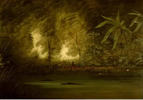 A Lagoon of the Upper Amazon - George Catlin