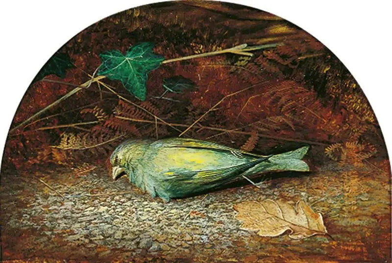 A Dead Linnet - John Atkinson Grimshaw