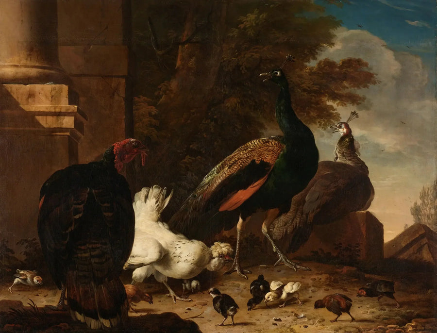 A hen with peacocks and a turkey - Melchior de Hondecoeter