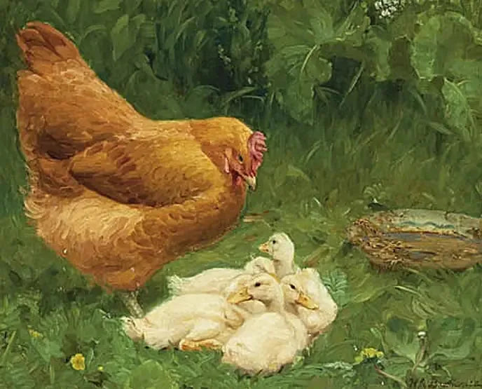 A hen and some ducklings. - H. A. Brendekilde