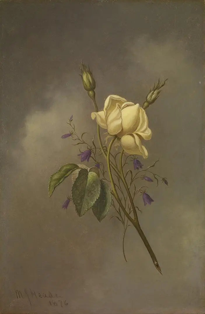 A yellow rose against a cloudy sky - Martin Johnson Heade
