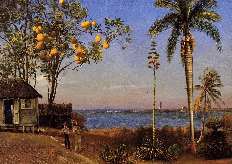 A view in the Bahamas, oil on paper marouflé on board, 48.58 x 35.24 cm - Albert Bierstadt