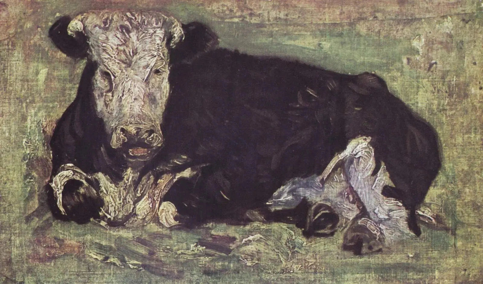 Vache couchée F1b JH388 — Vincent van Gogh
