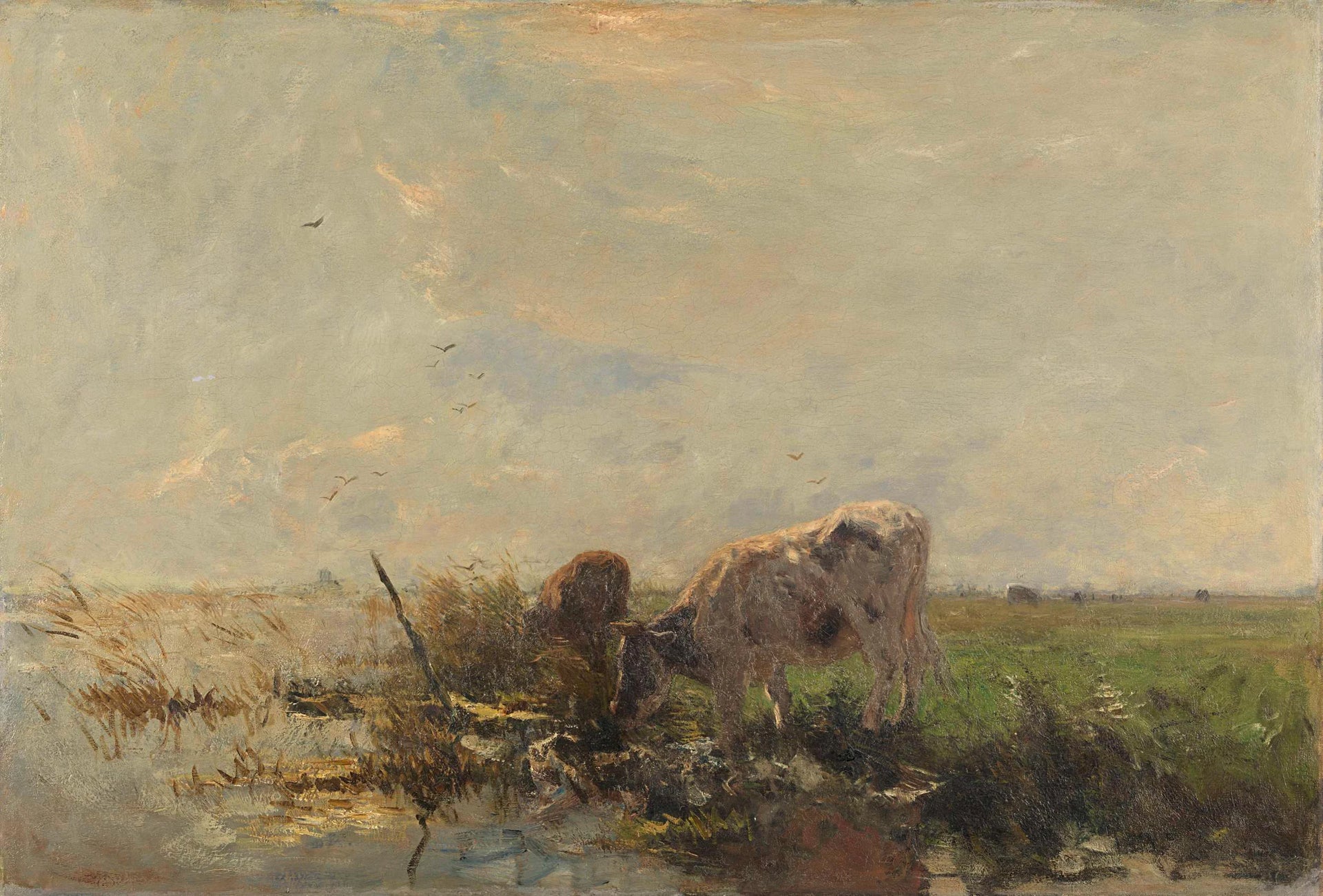 Vaches près d'une flaque d'eau - Willem Maris