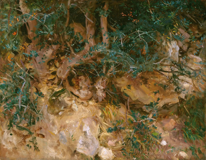 Valldemossa, Mallorca: thistles and herbs on a hill - John Singer Sargent