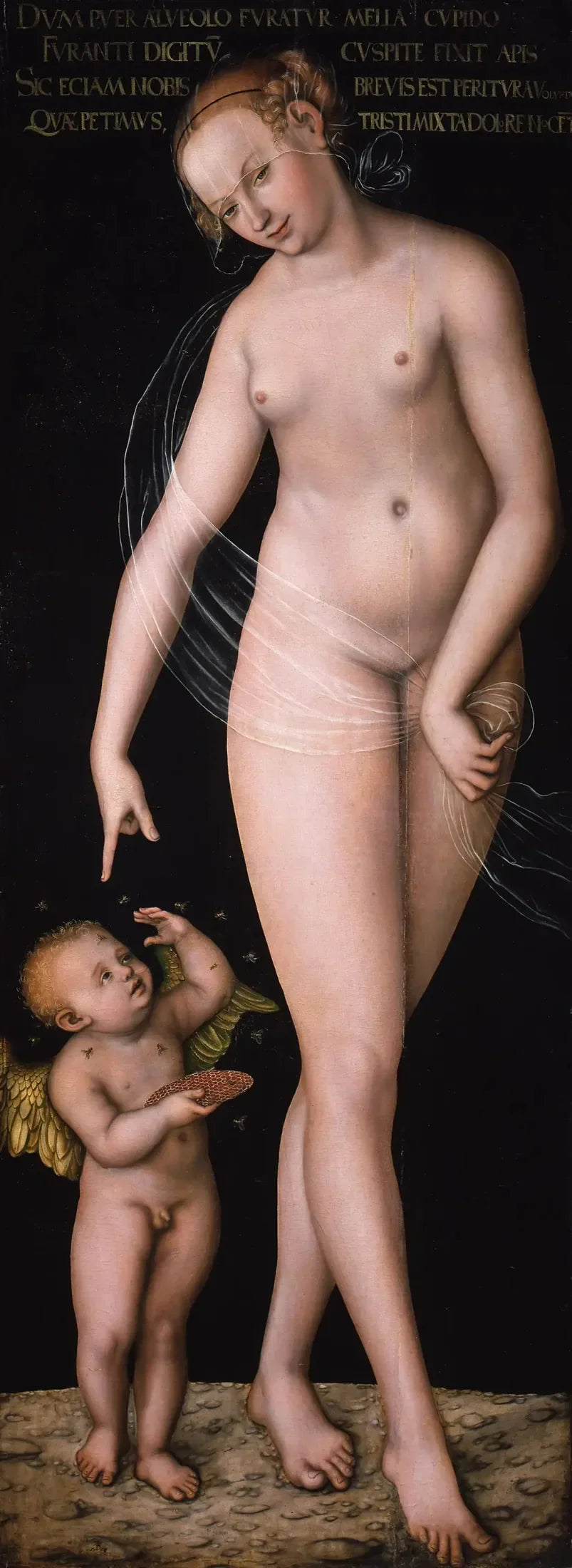 Venus with Cupid the Honey Thief - Lucas Cranach the Elder