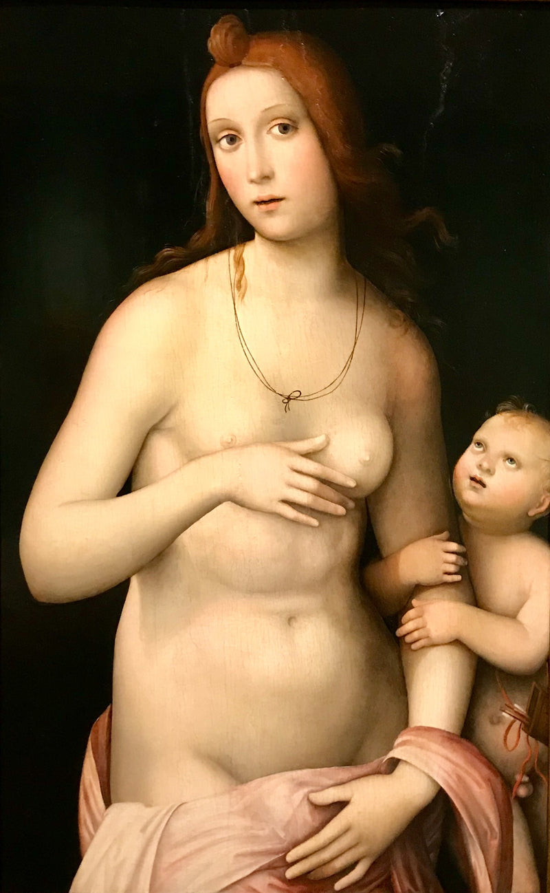 Venus and Cupid - Francesco Francia