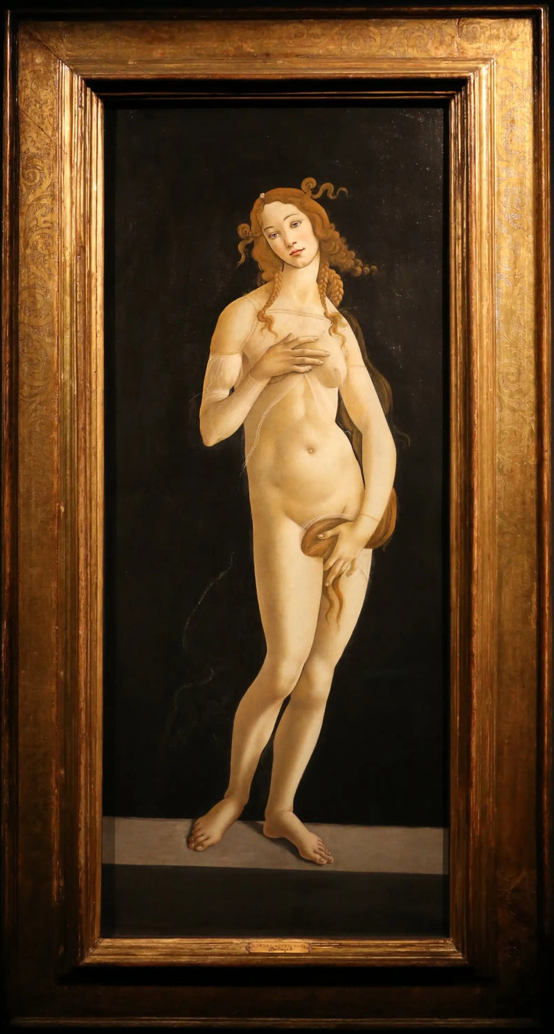Modest Venus - Sandro Botticelli