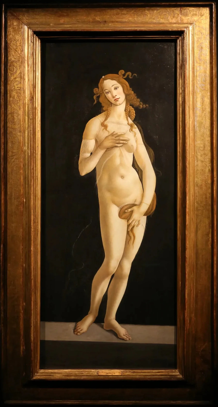 Modest Venus - Sandro Botticelli