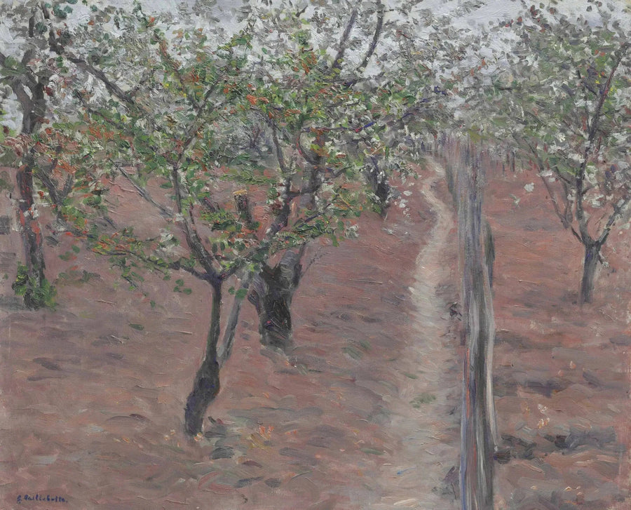 Orchard, flowering trees, Petit Gennevilliers - Gustave Caillebotte