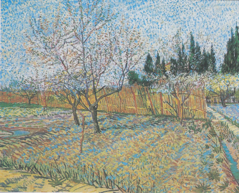 Orchard with Cypress - Vincent van Gogh