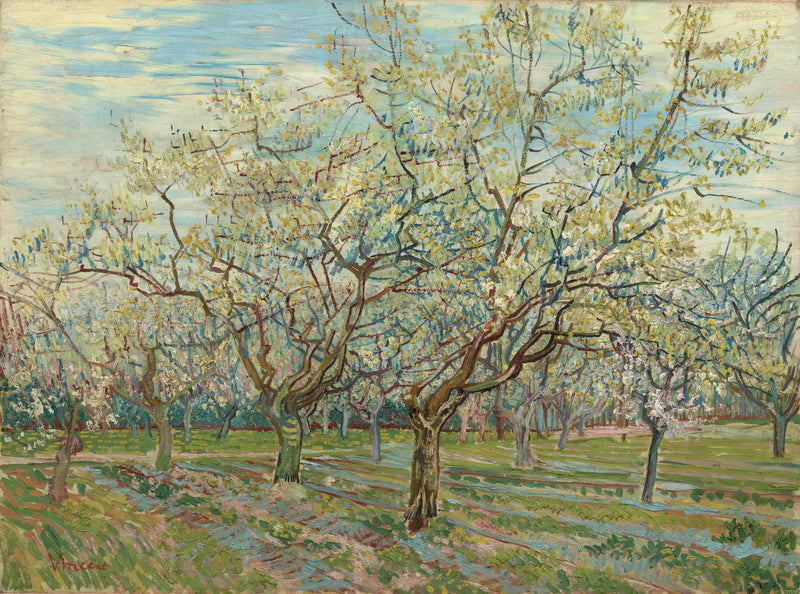 The White Orchard - Vincent van Gogh