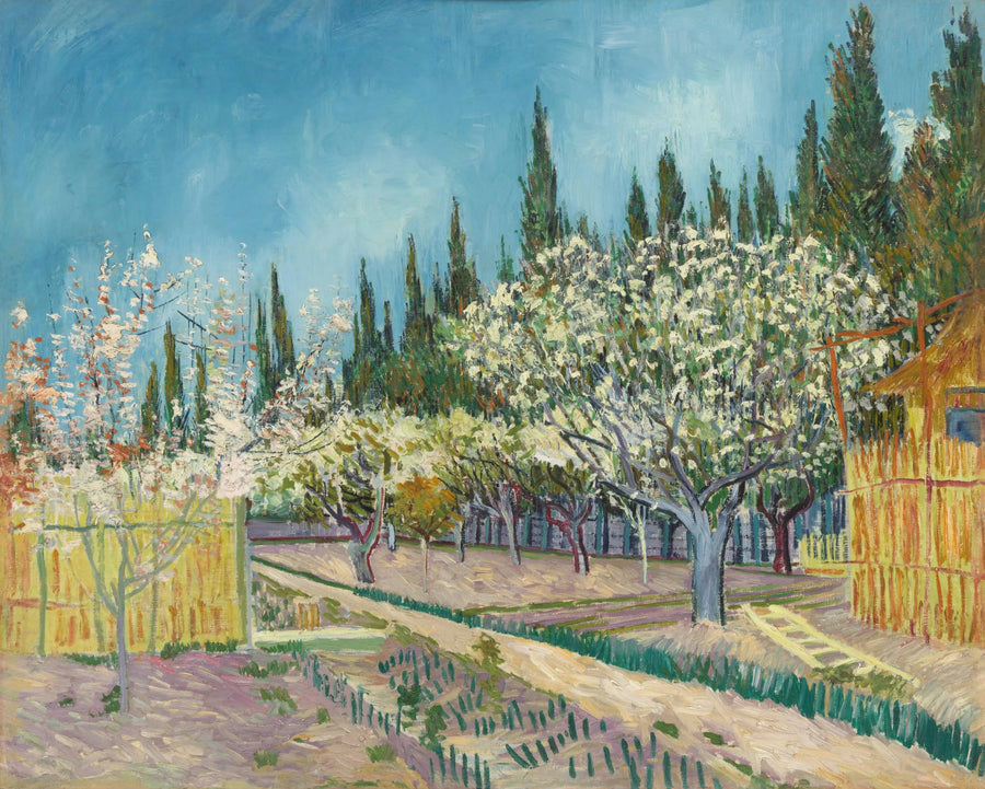 Orchard in Bloom, Lined with Cypresses - Vincent van Gogh