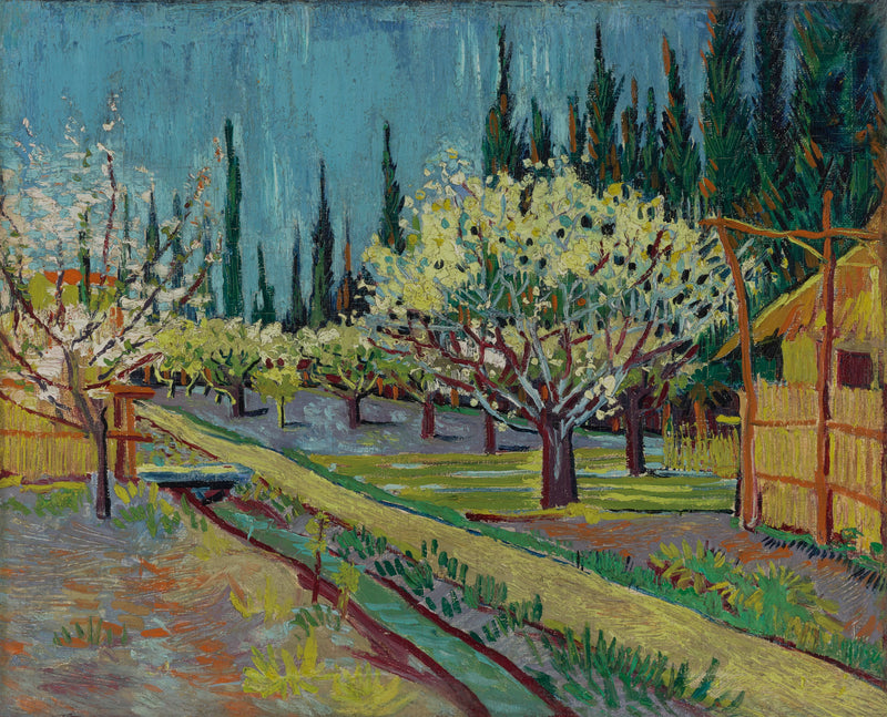 Flowering Orchard, Surrounded by Cypresses - Vincent van Gogh