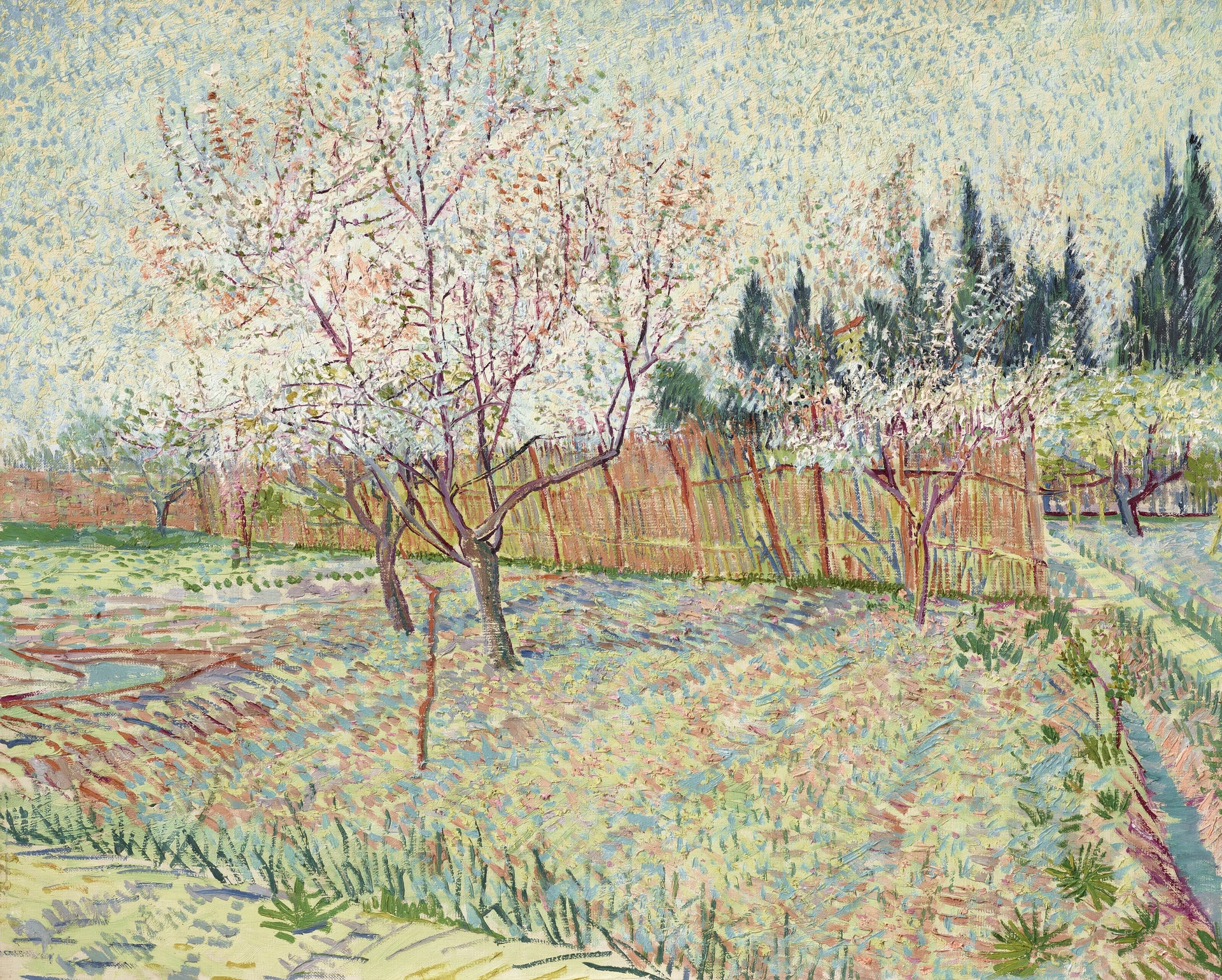Verger avec cyprès, F551 — pêchers en fleurs, clôture de roseaux et cyprès peints par Vincent van Gogh