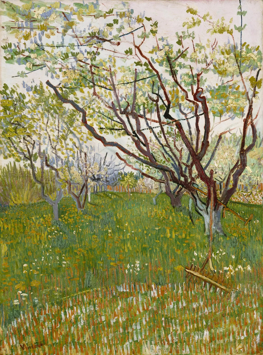 Orchard in Bloom - Vincent van Gogh