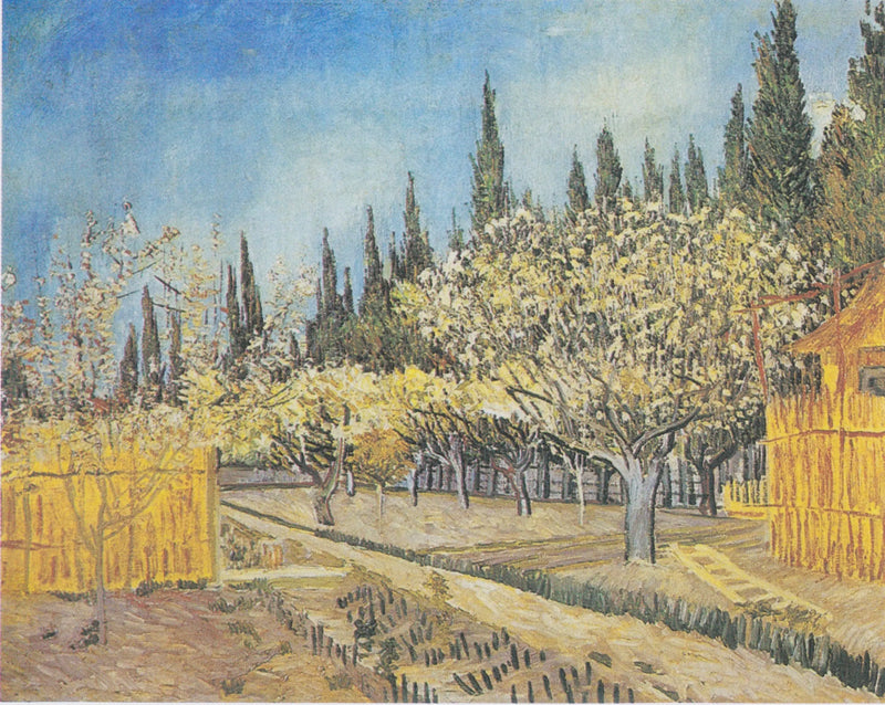 Orchard in Bloom, Lined with Cypresses - Vincent van Gogh