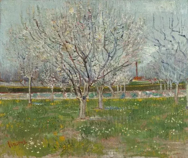 Orchard in Bloom - Vincent van Gogh