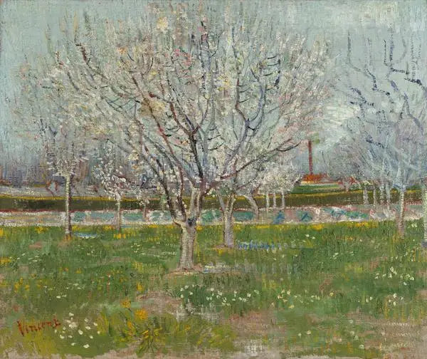 Orchard in Bloom - Vincent van Gogh