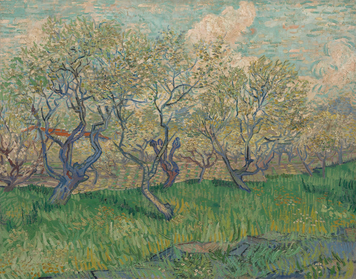 Orchard in bloom, F511 - Vincent van Gogh