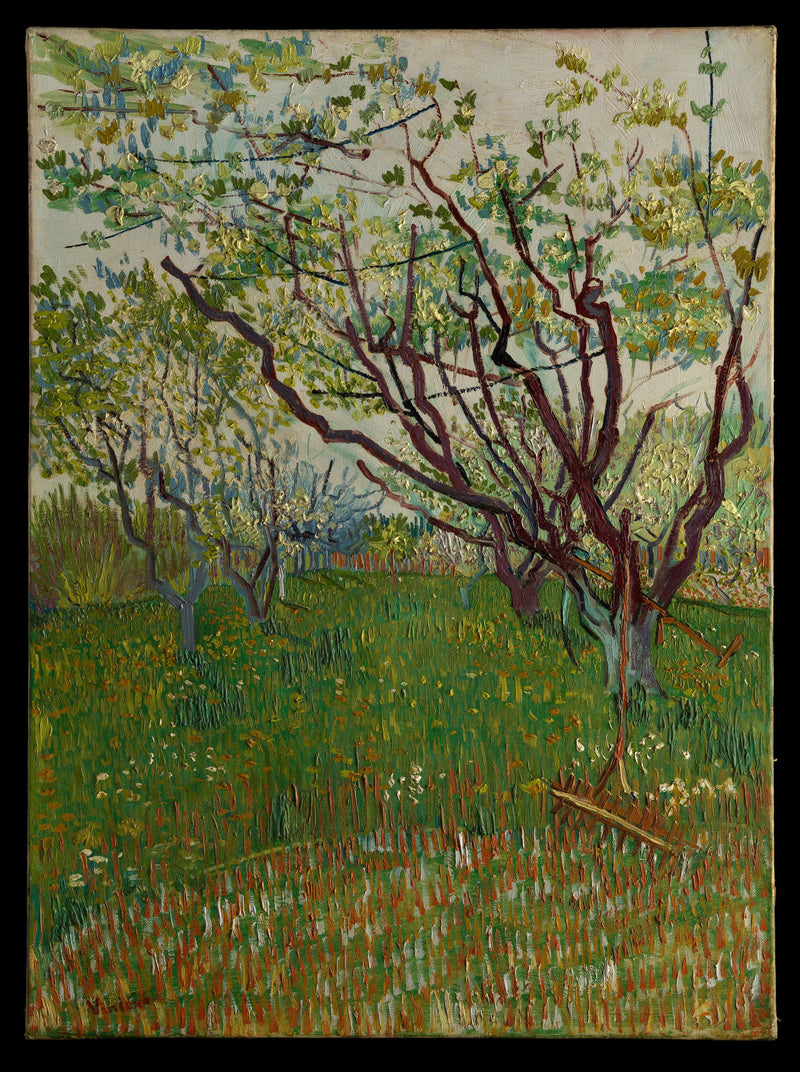 Orchard in Bloom - Vincent van Gogh