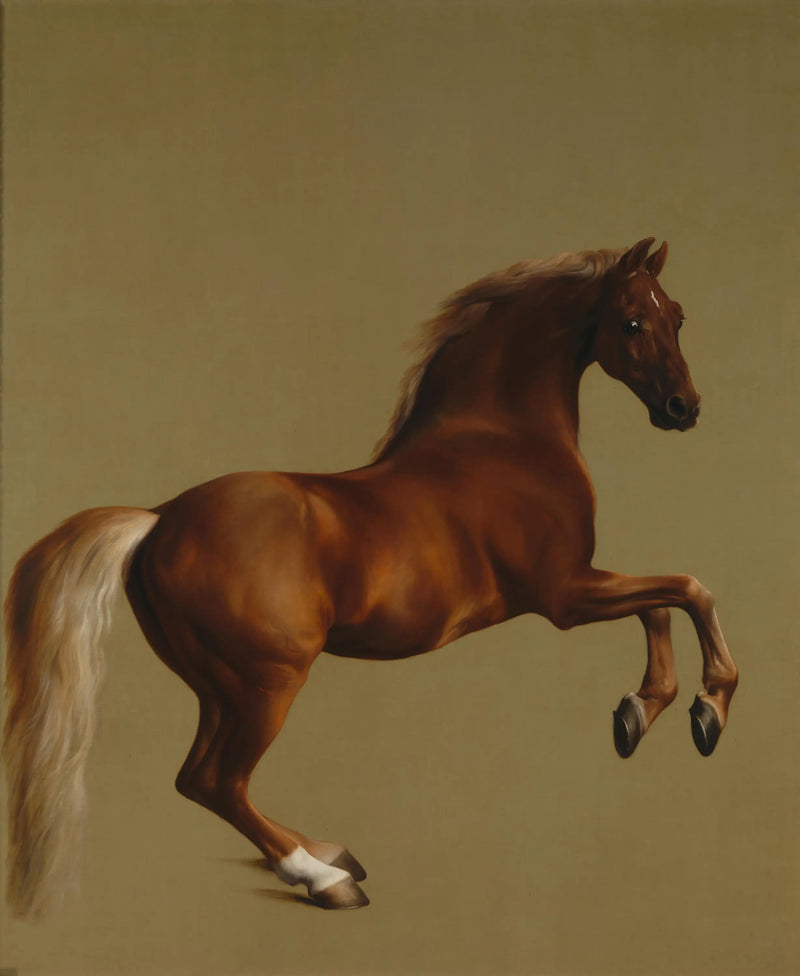 Whistling Jacket - George Stubbs
