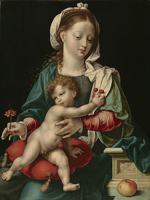 Virgin and Child with a Carnation - Joos van Cleve