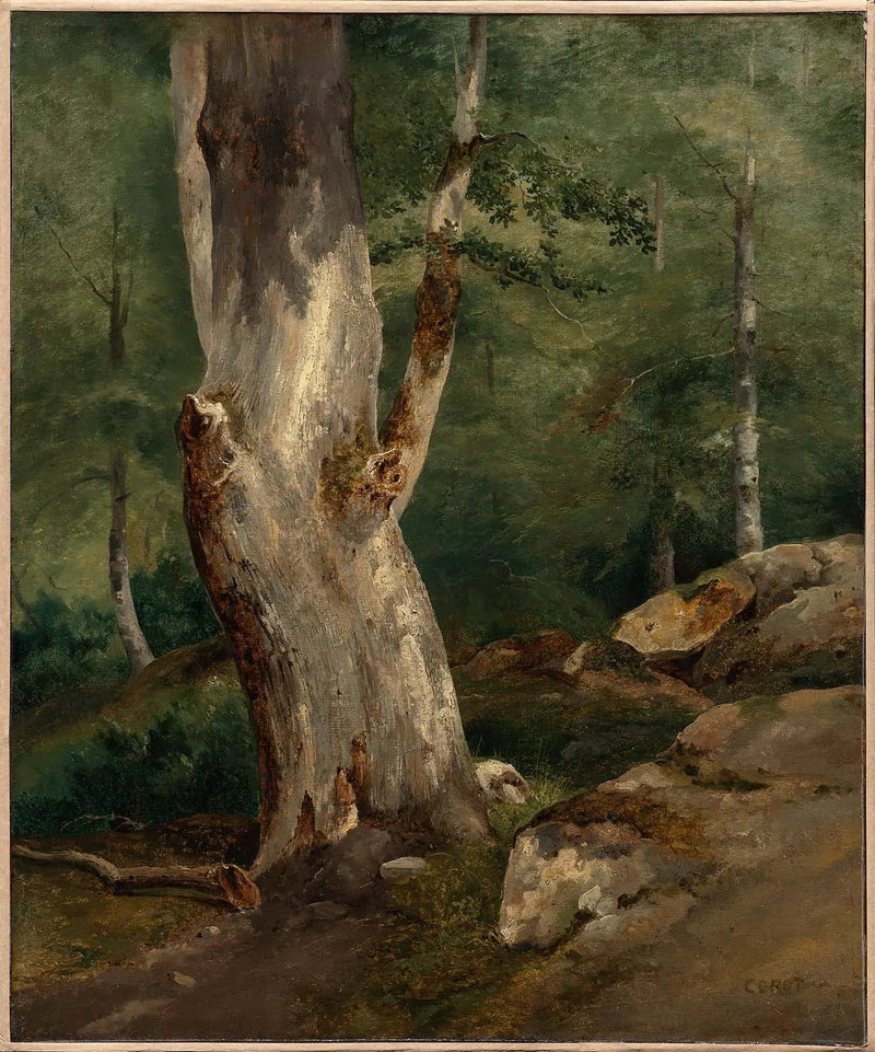Old Beech Tree - Jean-Baptiste Camille Corot