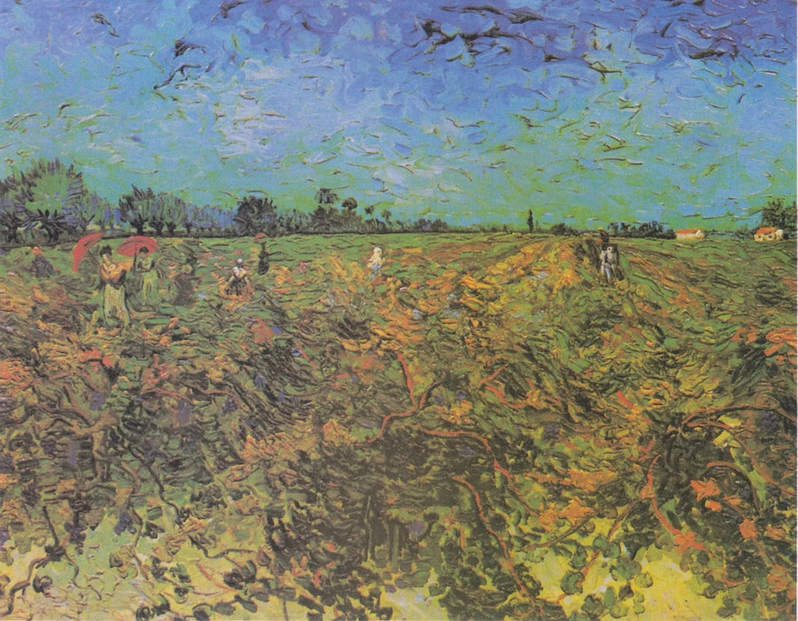 Green Vineyard - Vincent van Gogh