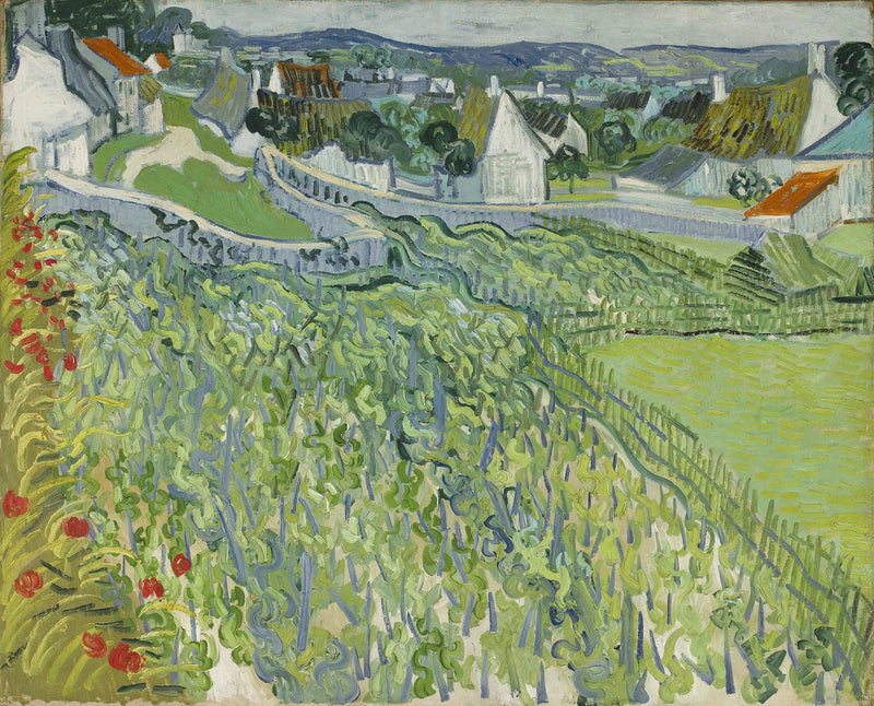 Vineyards of Auvers - Vincent van Gogh