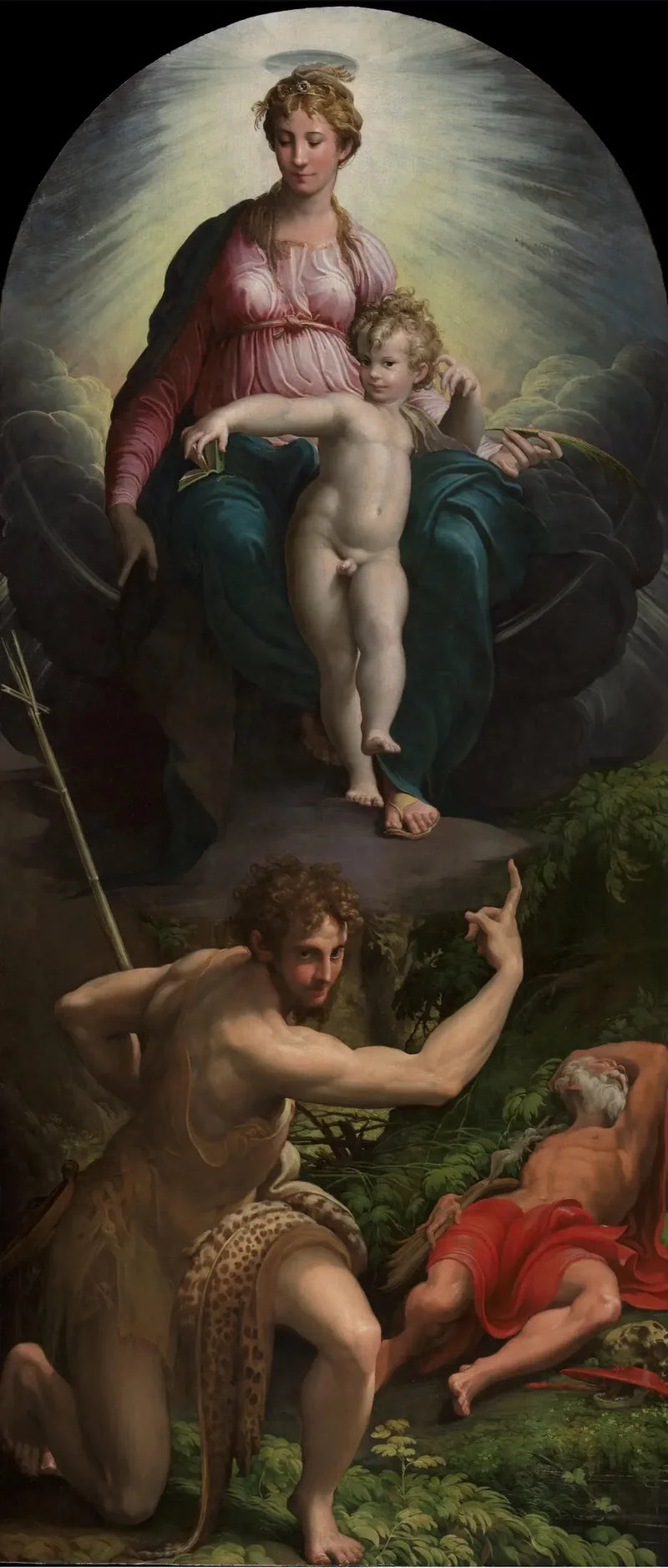 Vision of Saint Jerome - Parmigianino