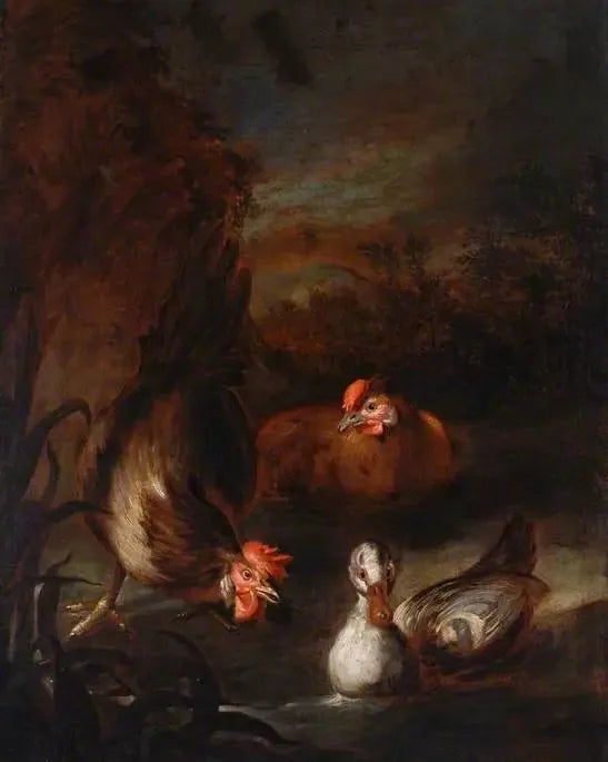Poultry - Melchior de Hondecoeter
