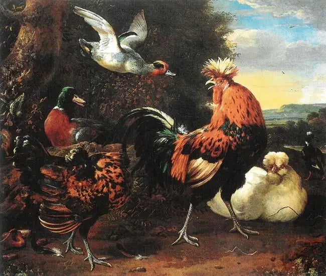 Poultry - Melchior de Hondecoeter