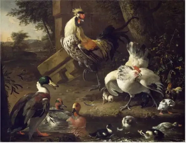 Poultry - Melchior de Hondecoeter