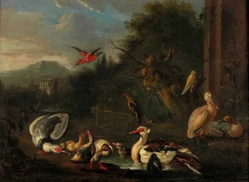 Poultry - Melchior de Hondecoeter