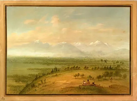 View of the Pampa del Sacramento - George Catlin