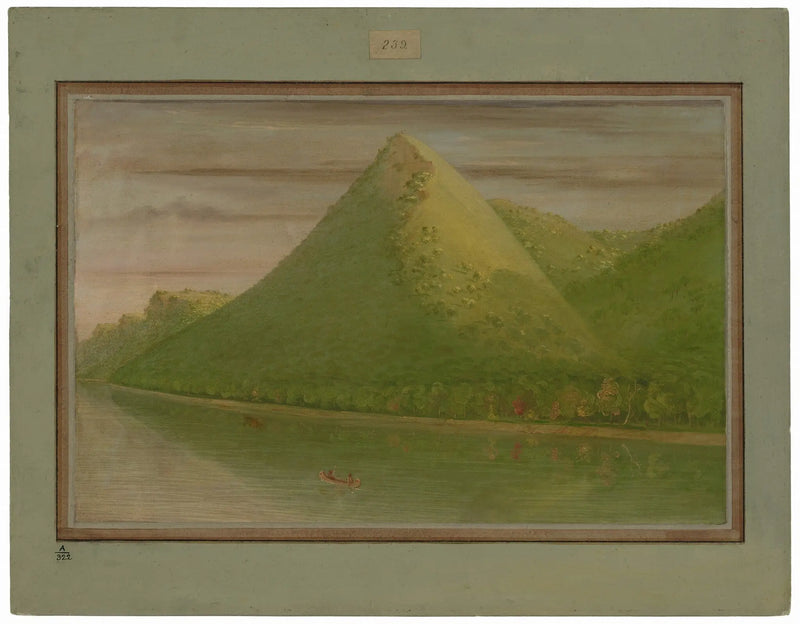 View of the 