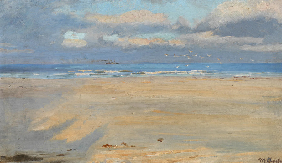 View from Skagen beach. A ship on the horizon. - Michael Peter Ancher