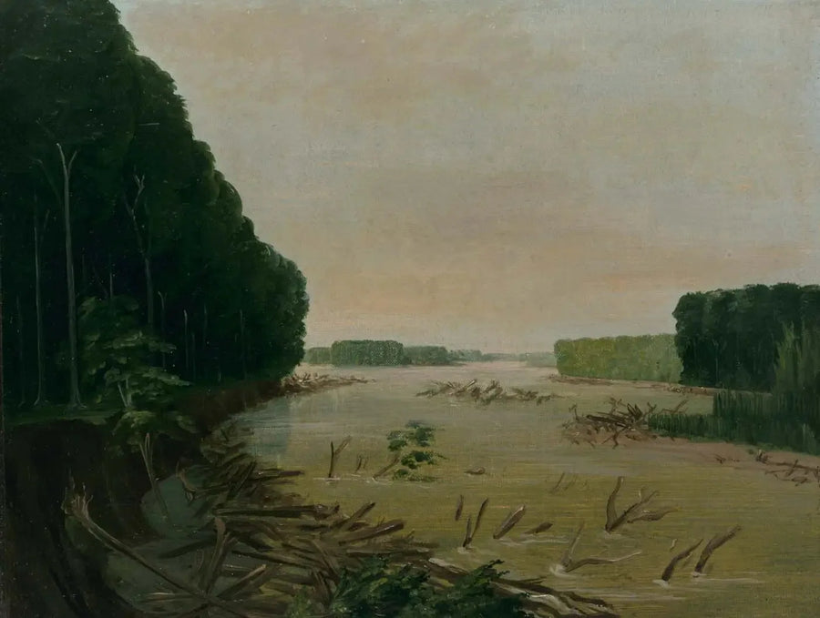 View of the Missouri, alluvial banks collapsing, 966 miles above Saint-Louis - George Catlin