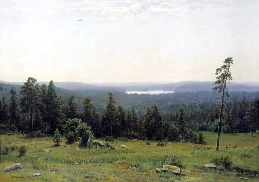 Distant Views of the Forest - Ivan Chichkine